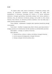 E-strategijos konsultacinių paslaugų verslui  2 puslapis