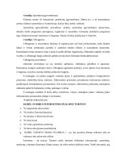 E-strategijos konsultacinių paslaugų verslui  11 puslapis