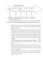 E-strategijos konsultacinių paslaugų verslui  13 puslapis