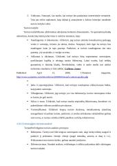 E-strategijos konsultacinių paslaugų verslui  14 puslapis