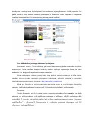 E-strategijos konsultacinių paslaugų verslui  16 puslapis