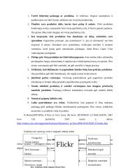 E-strategijos konsultacinių paslaugų verslui  17 puslapis