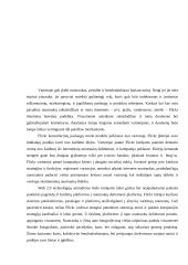 E-strategijos konsultacinių paslaugų verslui  18 puslapis