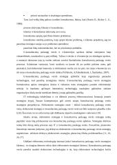 E-strategijos konsultacinių paslaugų verslui  4 puslapis