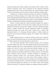 E-strategijos konsultacinių paslaugų verslui  5 puslapis