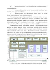 E-strategijos konsultacinių paslaugų verslui  7 puslapis