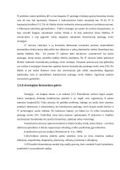 E-strategijos konsultacinių paslaugų verslui  9 puslapis