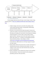 Elektroninės strategijos verslui formavimas. Magistrinis darbas 12 puslapis