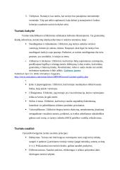 Elektroninės strategijos verslui formavimas. Magistrinis darbas 13 puslapis