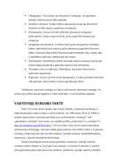 Elektroninės strategijos verslui formavimas. Magistrinis darbas 14 puslapis