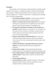 Elektroninės strategijos verslui formavimas. Magistrinis darbas 16 puslapis