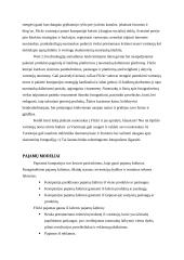 Elektroninės strategijos verslui formavimas. Magistrinis darbas 18 puslapis