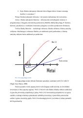 Elektroninės strategijos verslui formavimas. Magistrinis darbas 20 puslapis