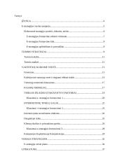 Elektroninės strategijos verslui formavimas. Magistrinis darbas 3 puslapis