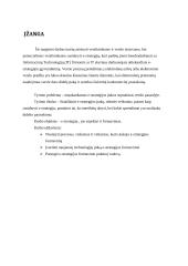 Elektroninės strategijos verslui formavimas. Magistrinis darbas 5 puslapis