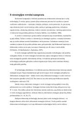 Elektroninės strategijos verslui formavimas. Magistrinis darbas 6 puslapis