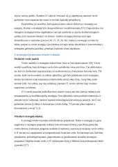 Elektroninės strategijos verslui formavimas. Magistrinis darbas 8 puslapis