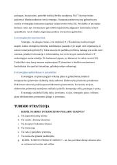 Elektroninės strategijos verslui formavimas. Magistrinis darbas 10 puslapis