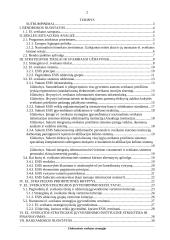 Projektas - Elektroninės sveikatos strategija 2 puslapis