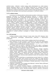 Projektas - Elektroninės sveikatos strategija 11 puslapis