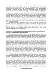 Projektas - Elektroninės sveikatos strategija 16 puslapis