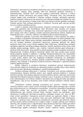 Projektas - Elektroninės sveikatos strategija 17 puslapis