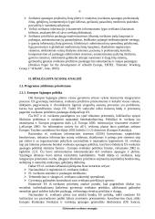 Projektas - Elektroninės sveikatos strategija 6 puslapis