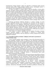 Projektas - Elektroninės sveikatos strategija 7 puslapis