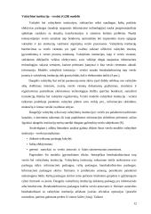 Elektroninio verslo modelio analizė 11 puslapis