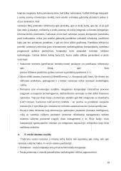 Elektroninio verslo modelio analizė 17 puslapis