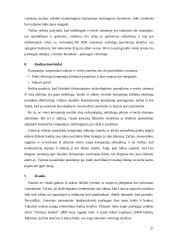 Elektroninio verslo modelio analizė 20 puslapis