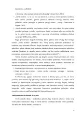 Elektroninio verslo modelio analizė 3 puslapis