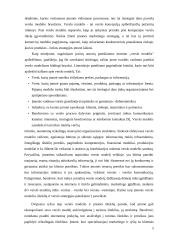 Elektroninio verslo modelio analizė 4 puslapis