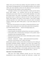 Elektroninio verslo modelio analizė 5 puslapis