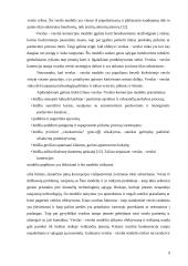 Elektroninio verslo modelio analizė 8 puslapis