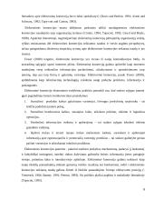 Elektroninis verslas ir elektroninė komercija 6 puslapis