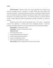 Framing efektai žiniose 2 puslapis