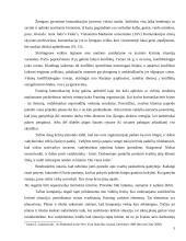 Framing efektai žiniose 5 puslapis