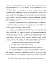 Framing efektai žiniose 6 puslapis