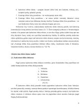 Framing efektai žiniose 8 puslapis