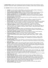 Integruota nusikalstamumo prevencijos informacinė sistema 2 puslapis