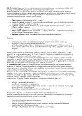 Integruota nusikalstamumo prevencijos informacinė sistema 3 puslapis