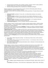 Integruota nusikalstamumo prevencijos informacinė sistema 4 puslapis