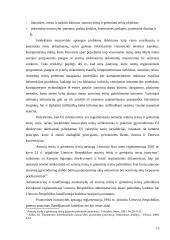 Informacinių technologijų teisinio reglamentavimo principai 13 puslapis