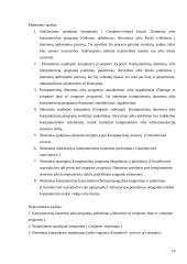 Informacinių technologijų teisinio reglamentavimo principai 18 puslapis