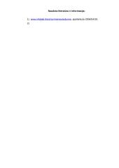 Informacinės visuomenės skatinimas 7 puslapis