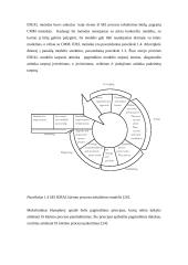 Informacinės sistemos kūrimo projektavimo proceso valdymas 13 puslapis