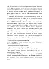 Informacinės sistemos kūrimo projektavimo proceso valdymas 15 puslapis