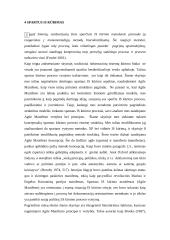 Informacinės sistemos kūrimo projektavimo proceso valdymas 16 puslapis