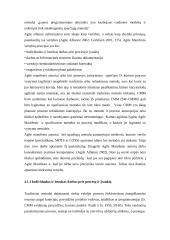 Informacinės sistemos kūrimo projektavimo proceso valdymas 18 puslapis